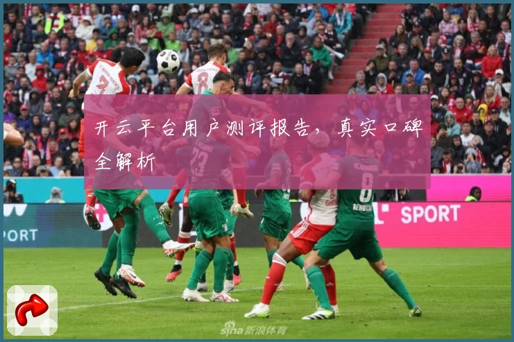 开云平台用户测评报告，真实口碑全解析