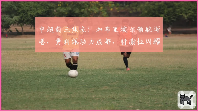 中超前三焦点：加布里埃尔领航海港，费利佩助力成都，特谢拉闪耀申花