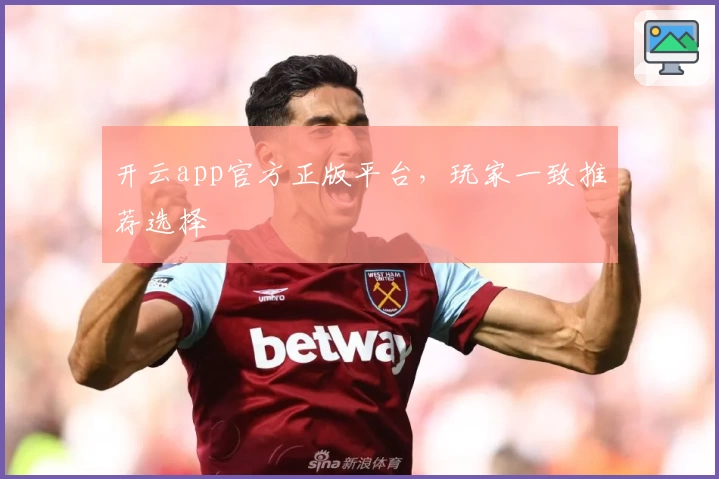 开云app官方正版平台,玩家一致推荐选择